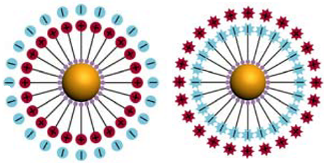 Nanoparticles with oppositely charged surfaces 