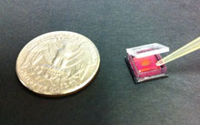 Cells are grown directly on top of ePetri’s image sensor less than the size of a dime, the same type used in cell phones